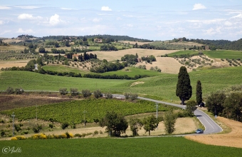 Toscanaa